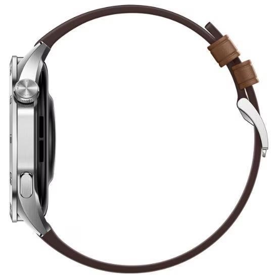 Huawei Watch GT4 46mm (Phoinix-B19L),  brown EU3 