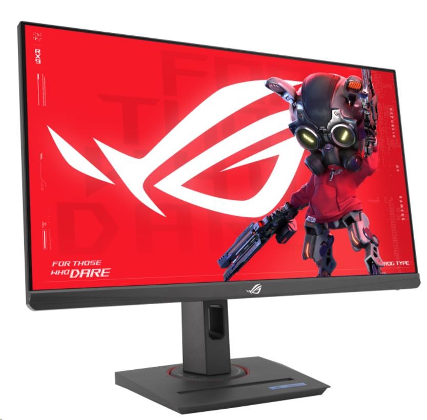 ASUS LCD 24.5
