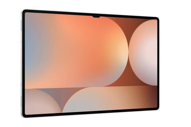 Samsung Galaxy Tab S10 Ultra (WiFi) 12GB/ 256GB,  EU,  stříbrný3 