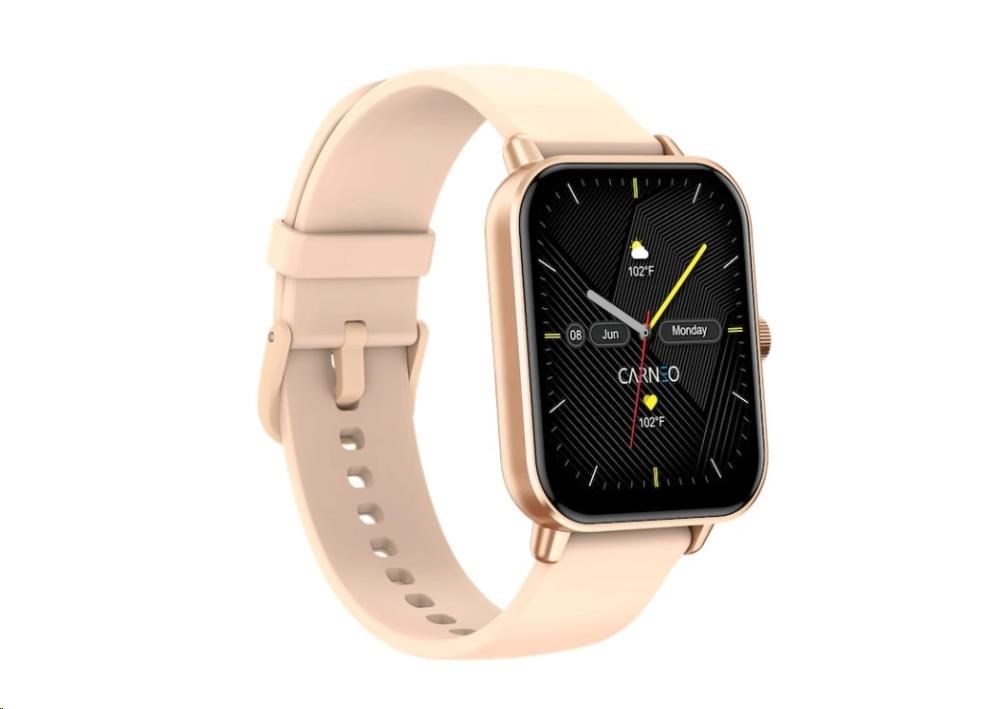 CARNEO Versa HR+ rosegold2 