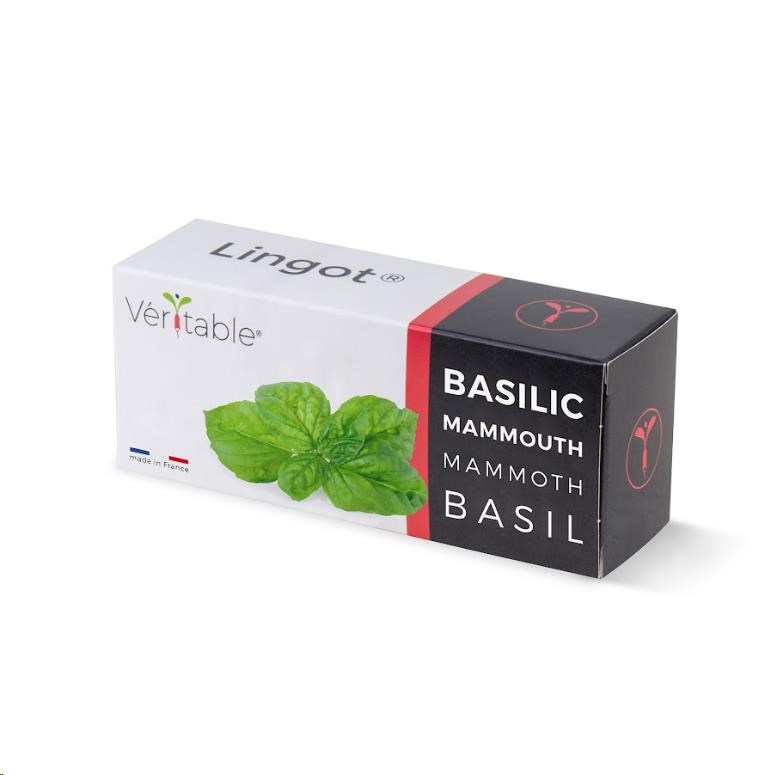 Véritable Lingot Bazalka mamutí0 
