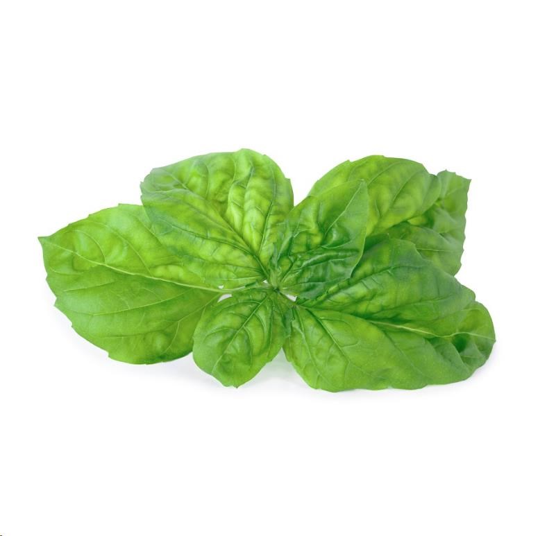 Véritable Lingot Bazalka mamutí1 