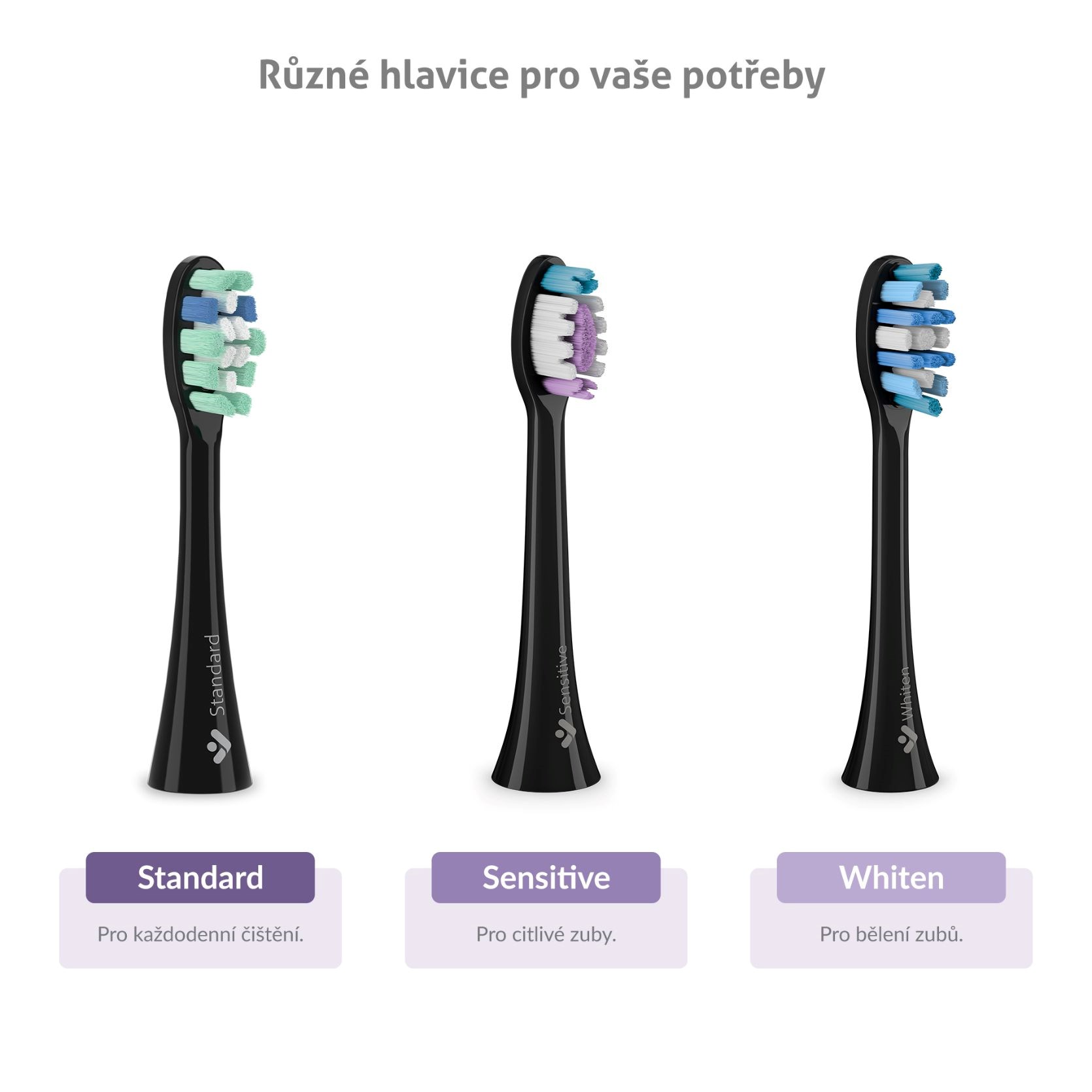 TrueLife SonicBrush Clean70 UV Black10 