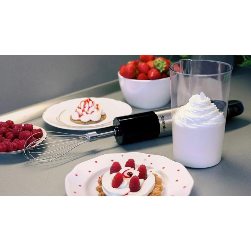 SALENTE Mixxo multifunkční tyčový mixér 3v1,  1200 W,  nerez,  černá10 