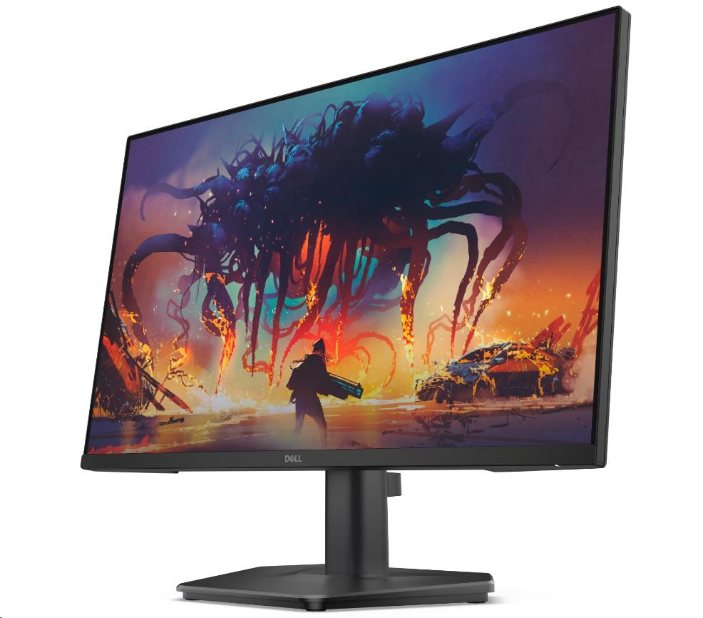 DELL LCD SE2425HG - 23, 8