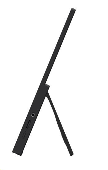 MSI LCD PRO MP165 E6,  15.6