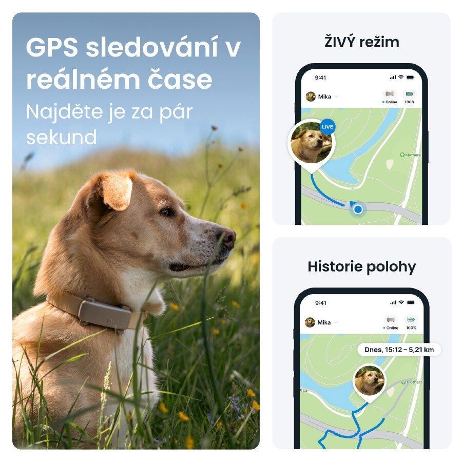 Tractive DOG 6 – GPS lokátor pro psy a monitor zdraví,  hnědý1 