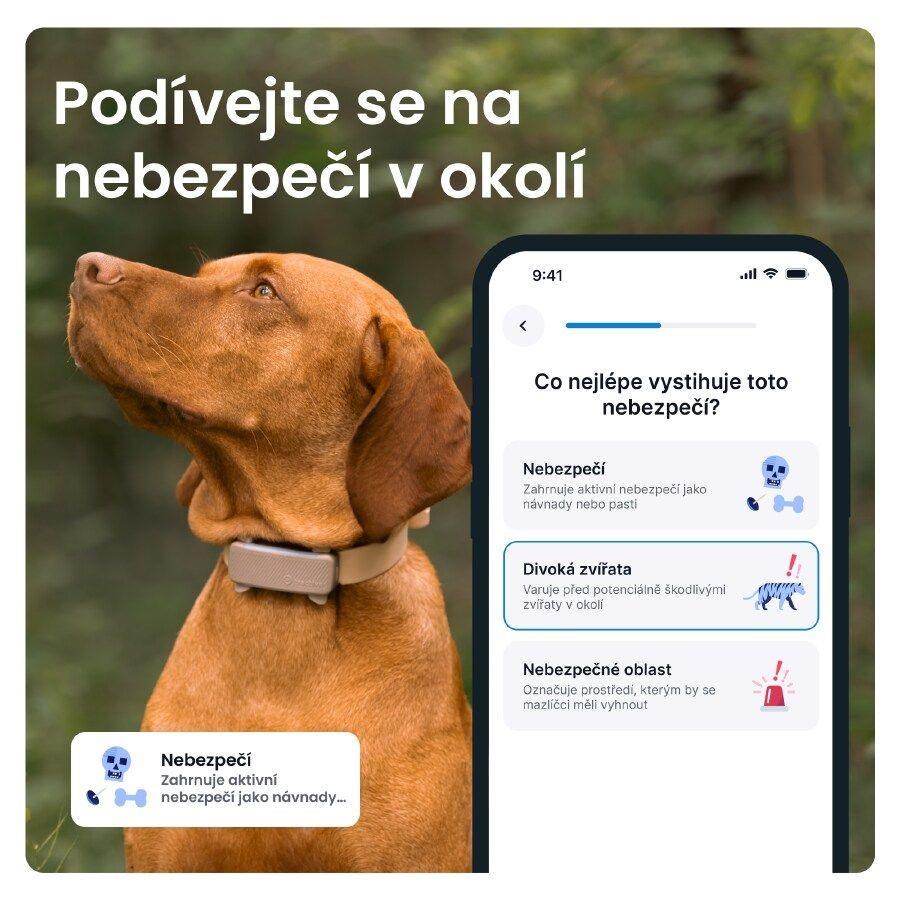 Tractive DOG 6 – GPS lokátor pro psy a monitor zdraví,  hnědý3 