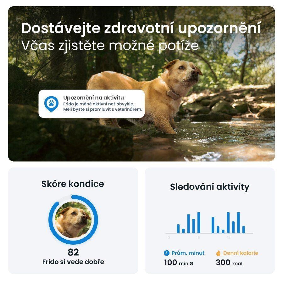 Tractive DOG 6 – GPS lokátor pro psy a monitor zdraví,  hnědý4 