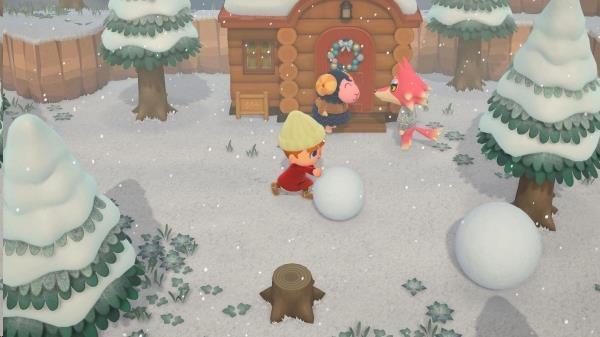 SWITCH Animal Crossing: New Horizons8