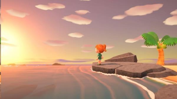 SWITCH Animal Crossing: New Horizons4