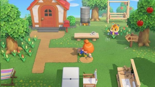 SWITCH Animal Crossing: New Horizons7