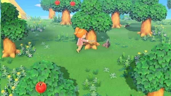 SWITCH Animal Crossing: New Horizons6 