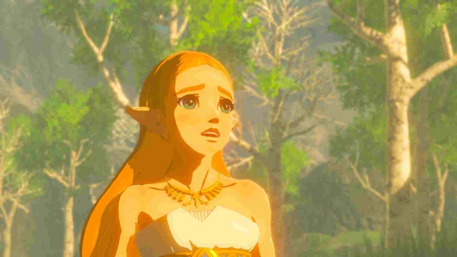 SWITCH The Legend of Zelda: Breath of the Wild1 
