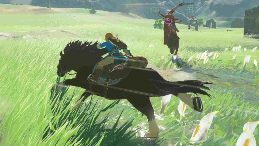 SWITCH The Legend of Zelda: Breath of the Wild2 