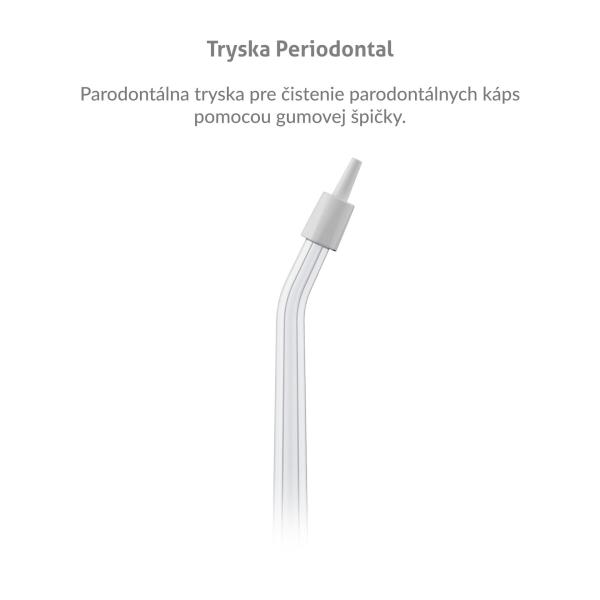 TrueLife AquaFloss L-series jets Periodontal 4 pack 