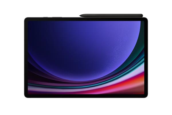 Samsung Tablet Galaxy Tab S9+ 12,4" X810 256GB Wifi, šedý 