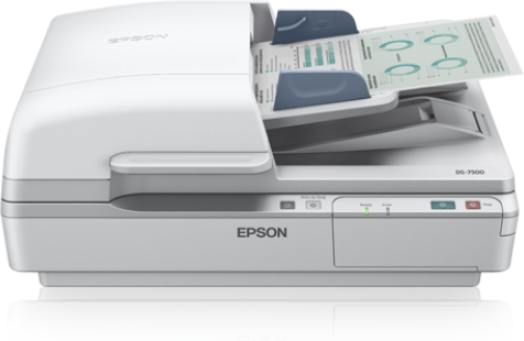 Skener EPSON WorkForce DS-6500, A4, 1200x1200dpi, USB 2.0, DADF