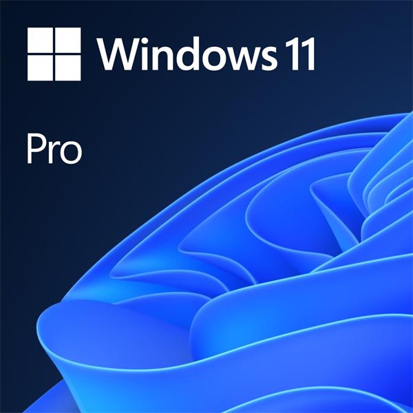 Microsoft_OEM Windows 11 Pro  64Bit English 1pk DVD