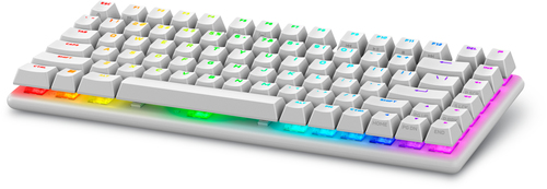 Dell Alienware Pro Wireless Gaming Keyboard - US (QWERTY) (Lunar Light)