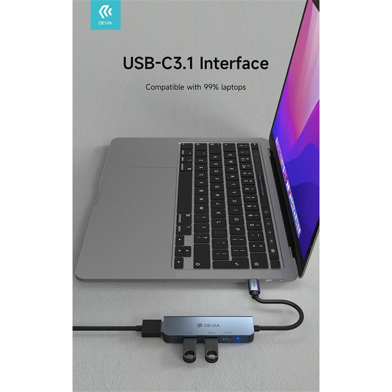 Devia USB-C Hub Leopard Series 4 in 1 - Deep Gray 