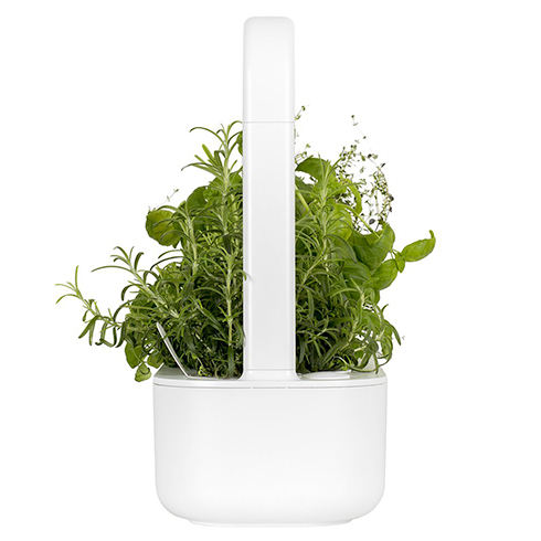 Smart Garden 9, šedá 