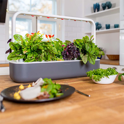 Smart Garden 9, šedá 