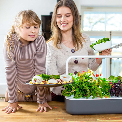 Smart Garden 9, šedá 