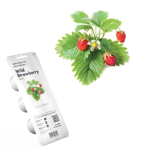Smart Garden Lesné jahody 