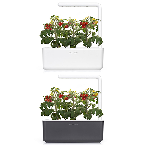 Smart Garden Mini rajčiny 