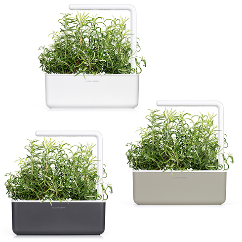 Smart Garden Rozmarín 