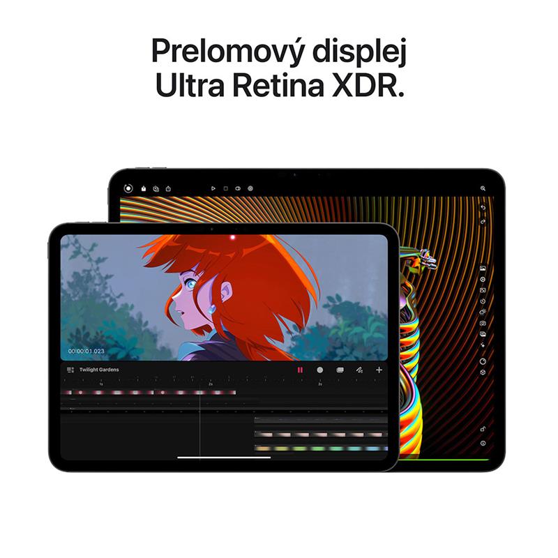 iPad Pro 11" Wi-Fi + Cellular 2TB sklo s nanotextúrou - Kozmický čierny (2024) 