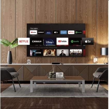 Thomson Streaming Box 240 - 4K UHD, Google Cast, Hej Google 