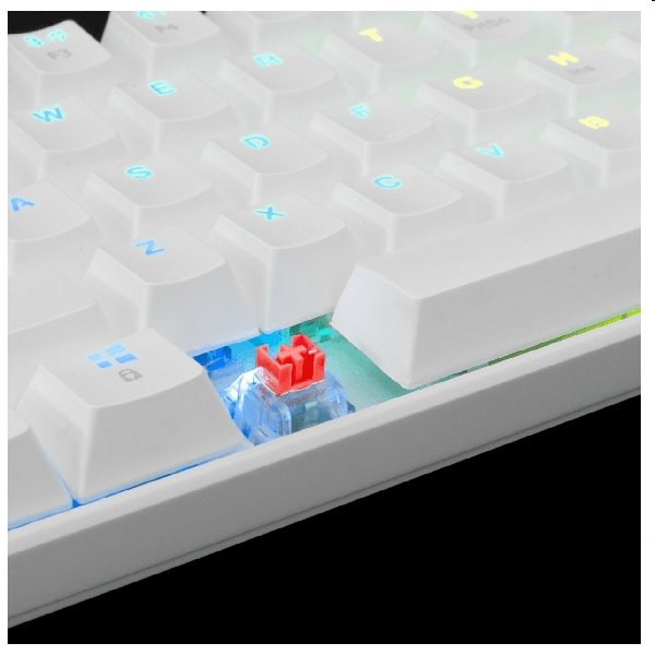 White Shark Mechanical gaming keyboard SHINOBI, US, red switch, white 