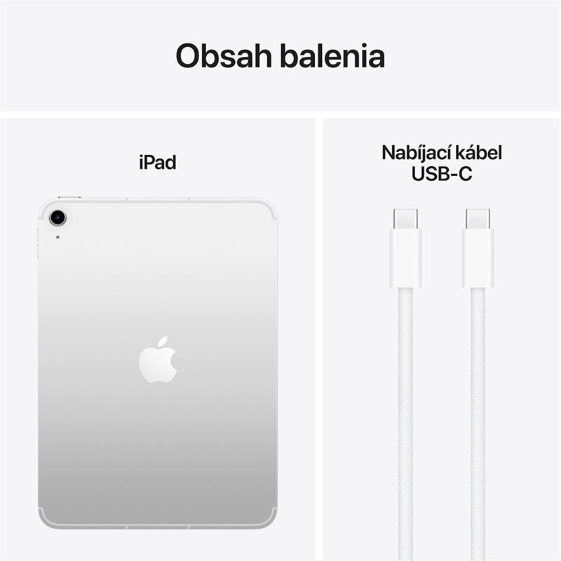 iPad 11" Wi-Fi + Cellular 256GB Strieborný 