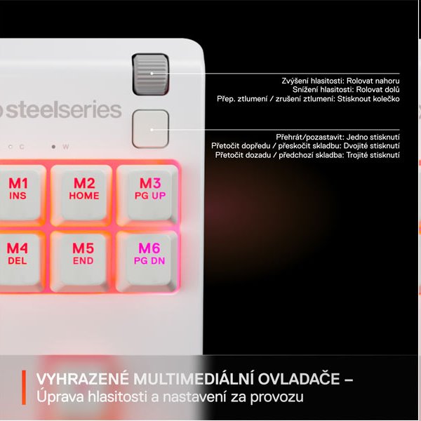 SteelSeries Apex 3 TKL US 