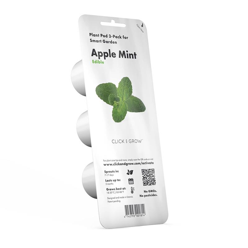 Smart Garden Mäta pieporná 