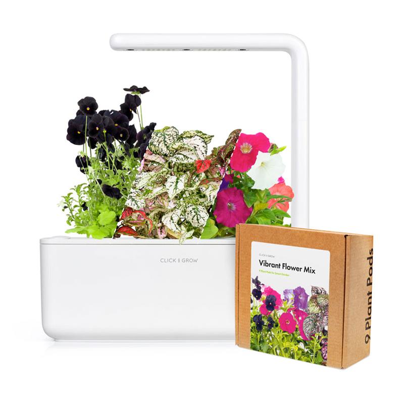 Smart Garden Mix kvetín  3-pack 