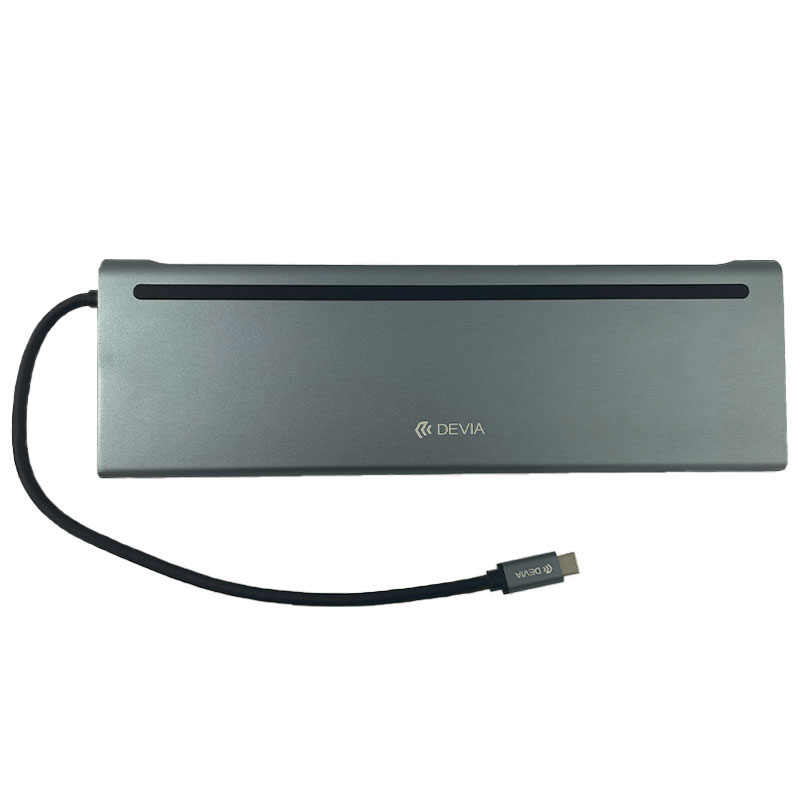 Devia USB-C Hub Leopard Series 11 in 1 - Gray 
