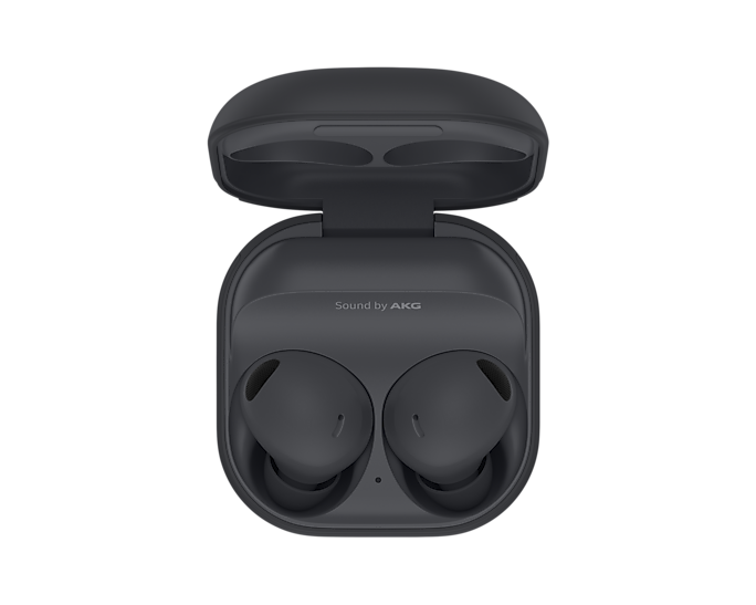 Samsung Galaxy Buds 2 Pro Grey