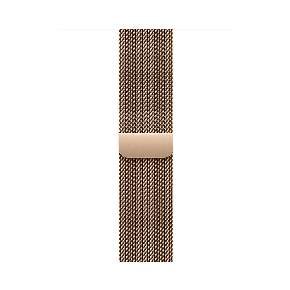 Watch Acc/ 42/ Gold Milanese Loop