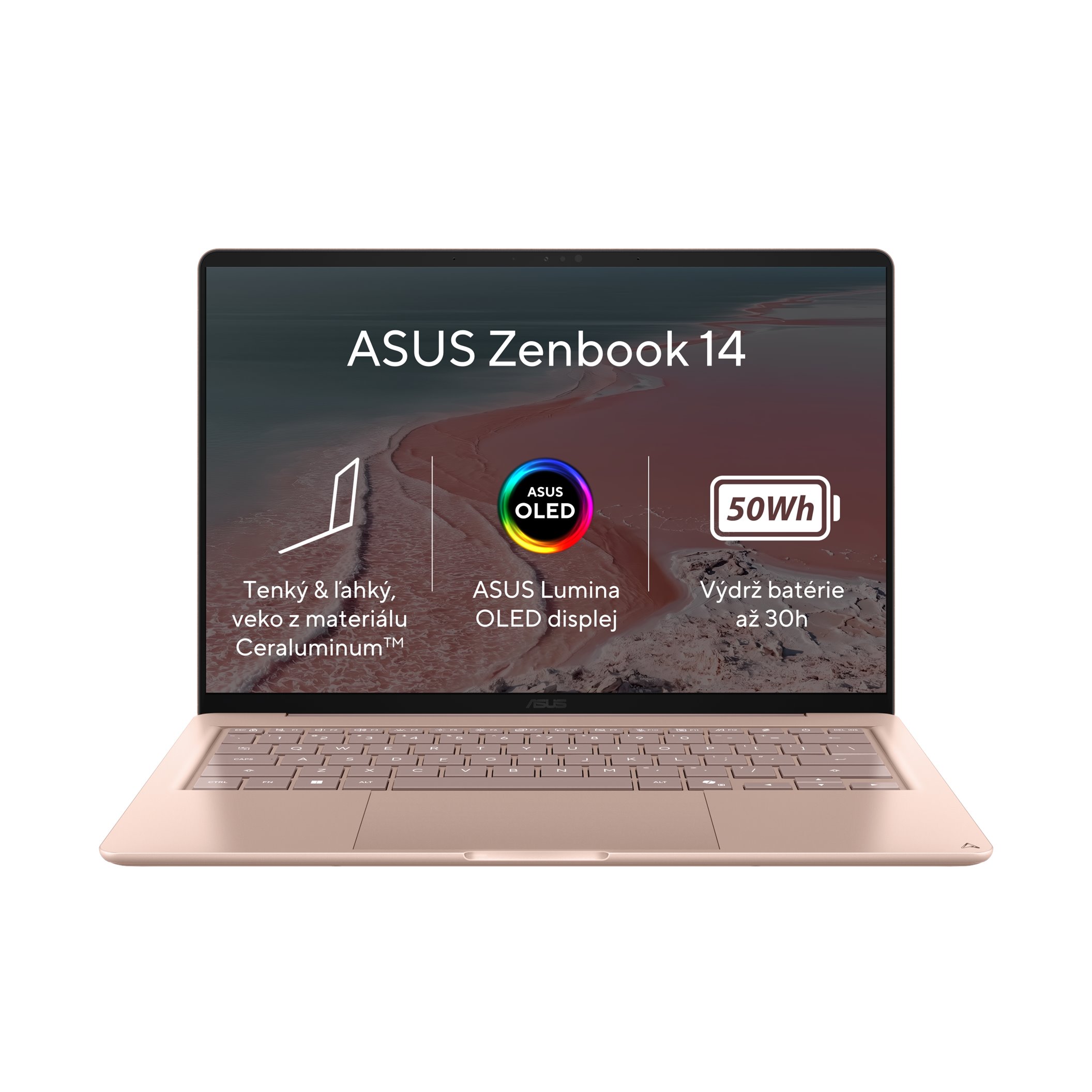 ASUS Zenbook 14/X1-26-100/8GB/256GB SSD/Qualcomm UMA/14