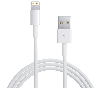 Apple Lightning to USB Cable (0,5 m)